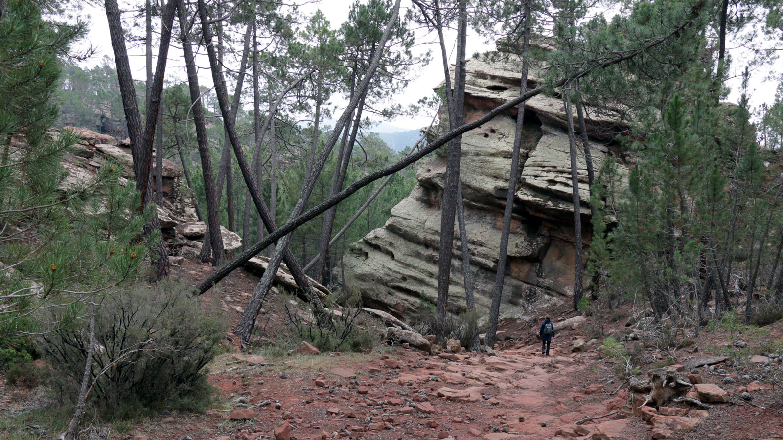 Wanderung zum Campamento de Maquis